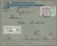 Deutsches Reich - Privatpost (Stadtpost): 1898, DRESDEN/Hansa, 10 Pf. Bienenkorb - Postes Privées & Locales