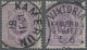 Deutsche Kolonien - Kamerun-Vorläufer: 1887, Pfennig-Ausgabe, 5 Pfg., Zwei Exemp - Kameroen