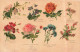 FLEURS - Types De Fleurs - Colorisé - Carte Postale Ancienne - Fiori