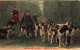 CARTE PHOTO - Scènes De Chasse - Un Relais De Chiens - Colorisé - Carte Postale Ancienne - Fotografía