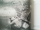 Delcampe - Passchendaele 1917 - Het Verhaal Van De Doden En Tyne Cot Cemetery Oorlog 1914- 1918 Boek Nederlands Belgium Belgique - Andere & Zonder Classificatie