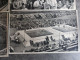 OLYMPIA 1936 - Germany Berlin Olympics Olympia Sammelwerk 14 Bild 21 Gruppe 58  Jeux Olympique J.O ALLEMAGNE - Trading-Karten