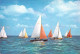 BATEAU - International 505 Class Dinghies - Course De Voiliers - Carte Postale - Other & Unclassified