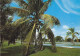 AK 164692 USA - Florida - West Palm Beach