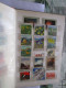 Delcampe - Petit Lot De Timbres Russie Oblitérés Russia Stamps - Collections