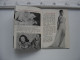 PEOPLE TODAY Magazine April 23 1952 Pocket Digest Sally Forrest Cover PINUP - Unterhaltung