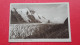 8 Postcards.Grossglockner.Karl Jurischek,Salzburg - Heiligenblut