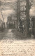 BELGIQUE - Soignies - L'ancien Cimetière - Carte Postale Ancienne - Soignies