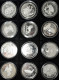 Alle Welt: Gefährdete Tierwelt: 24 Silbermünzen Aus Diversen Ländern In Der Höch - Autres & Non Classés