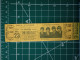 Delcampe - A SCELTA 1 TICKET SU 18 DISPONIBILI: THE BEATLES BIGLIETTO CONCERTO RIPRODUZIONE RECENTE NO 60'S - Concert Tickets