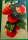 Cpa ILLUSTRATEUR  FRUITS Fraise, Fraisier  , BELLES FRAISES Sur PIED , STRAWBERRY . STRAWBERRIES , A/s  OLD PC - Plantes Médicinales