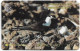 Ascension Island - C&W - GPT - 3CASD - Wideawake Tern, 1992, 4.600ex, Used - Isole Ascensione