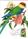 Delcampe - 22-9-2-23 (1 U 48) (OZ) Australia 2005 Maxicard (pre-paid Worldwide) (set Of 5) Parrots Birds (mint) - Cartas Máxima