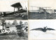 Delcampe - Aviation -  Lot De 25 Cartes Publicitaire Pour La Transfusine- Clichés Issus Du Musée De L'air,Monoplan, Biplan, - Collezioni E Lotti