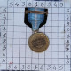 Delcampe - Médailles  > Dispersion D'une Collection Vendu Au Prix Achetée >Antarctica Service Medal > Réf:Cl USA P 8/ 3 - Stati Uniti