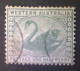 Australia-Western Australia, Scott #58, Used (o), 1885, Black Swan, ½d, Green - Gebraucht