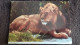 CPSM DEPLIANT LION GIRAFE GRUE ELEPHANT TOPI CARTE GEOGRAPHIQUE KENYA JOHN HINDE 1977 - Lions