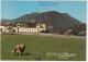 D5037) GRUSS Aus STAMS - Tirol  - Kuh Auf Wiese Mit Stift Und Kleiner Kirche Am Hang Dahinter - Stams