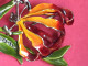 Jolie Broche  Fleur - Brochen