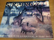 SERENGETI - Natural Order On The African Plain - Mitsuaki Iwago 1950 Savane Animaux Photos Couleur National Geography - Afrika