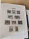 Delcampe - Austria 1989-2005 MNH In DAVO Album And Leuchtturm Pages - Collections (en Albums)