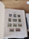 Delcampe - Austria 1989-2005 MNH In DAVO Album And Leuchtturm Pages - Collections (en Albums)