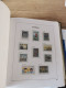 Delcampe - Austria 1989-2005 MNH In DAVO Album And Leuchtturm Pages - Collections (en Albums)