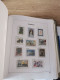 Delcampe - Austria 1989-2005 MNH In DAVO Album And Leuchtturm Pages - Collections (en Albums)