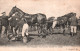 Hippisme à Cogolin (Var) Les Courses, Enceinte Du Pesage - Carte A. Bougault N° 825 De 1908 - Hippisme