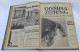 OLYMPIA ZEITUNG NEWSPAPER OLYMPIC GAMES BERLIN GERMANY 1936 SET 30 NUMBERS!!! - Bekleidung, Souvenirs Und Sonstige