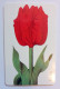 Germany, Telephonecard, Empty And Used - Blumen