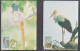 Venda 1984 Migratory Birds Set 4 Maxi Cards - Venda