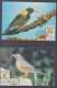 Venda 1985 Song Birds Set 4 Maxi Cards - Venda