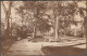 Rougemont Gardens, Exeter, Devon, 1924 - Postcard - Exeter
