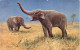 ANIMAUX & FAUNE - Éléphants - Colorisé - Carte Postale  Ancienne - Elefantes