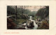 PHOTOGRAPHIE - Water Fall - Jesmond Dene - Colorisé - Carte Postale Ancienne - Photographie