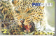 CARTE-PREPAYEE-FACTICE-TURC-PAYCELL-2-LEOPARD-Plastic FIN-TBE - Dschungel