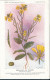 AX 26- C P A -LOT DE 6  -  SANTE PLANTES MEDICINALE ILLUSTRATEUR H.FRANTZ - Medicinal Plants