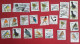 EIRE - IRLAND - IRLANDE - Lot + De 100 Timbres - More Than 100 - Meer Dan 100 - Used - Gestempeld - Oblitérés - Collections, Lots & Séries