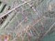 Delcampe - Ancienne Nasse Pêche Poisson Anguille Manufrance - Pesca