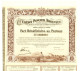 Crédit Foncier Argentin S. A., Part Bénéficiaire 1906 - Banque & Assurance
