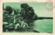 PHOTOGRAPHIE - Moutons De Pâturage Aux Bords Du Lac D'Aydai - Carte Postale Ancienne - Photographie