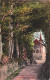 SUISSE - Küssnacht - Hohle Gasse - Tellskapelle - Carte Postale Ancienne - Küssnacht