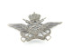 Militaria - INSIGNIA : Cap Badge Kepie : Luchtmacht Korporaal Para Force Protection & Predecessors - België Belgium - Otros & Sin Clasificación