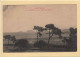 Convoyeur Paimpol A Guingamp - 1911 - Railway Post