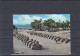 ÄGYPTEN -EGYPT -DYNASTIE-ÄGYPTOLOGIE - ANSICHTSKARTEN - KARNAK- SPHINX ALLEE -POST CARD - - Sphinx