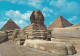 - ÄGYPTEN - EGYPT - DYNASTIE- ÄGYPTOLOGIE - SPHINX AUF CHEOPSPYRAMIDE - POST CARD - USED - Sphynx