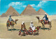 - ÄGYPTEN - EGYPT - DYNASTIE- ÄGYPTOLOGIE - PYRAMIDE IN GIZEH - POST CARD - GEBRAUCHT - Sphinx