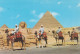 - ÄGYPTEN - EGYPT - DYNASTIE- ÄGYPTOLOGIE - SPHINX AUF CHEOPSPYRAMIDE - POST CARD - USED - Sphinx