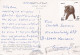 - ÄGYPTEN - EGYPT - DYNASTIE- ÄGYPTOLOGIE - ANSICHTSKARTEN - POST CARD - GEBRAUCHT - Sphinx